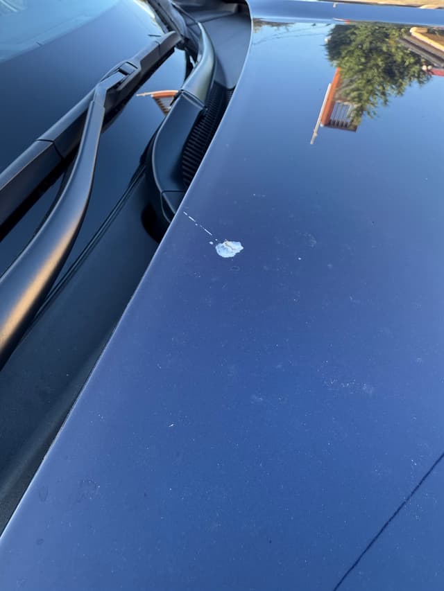 Bonnet Before & After - Before