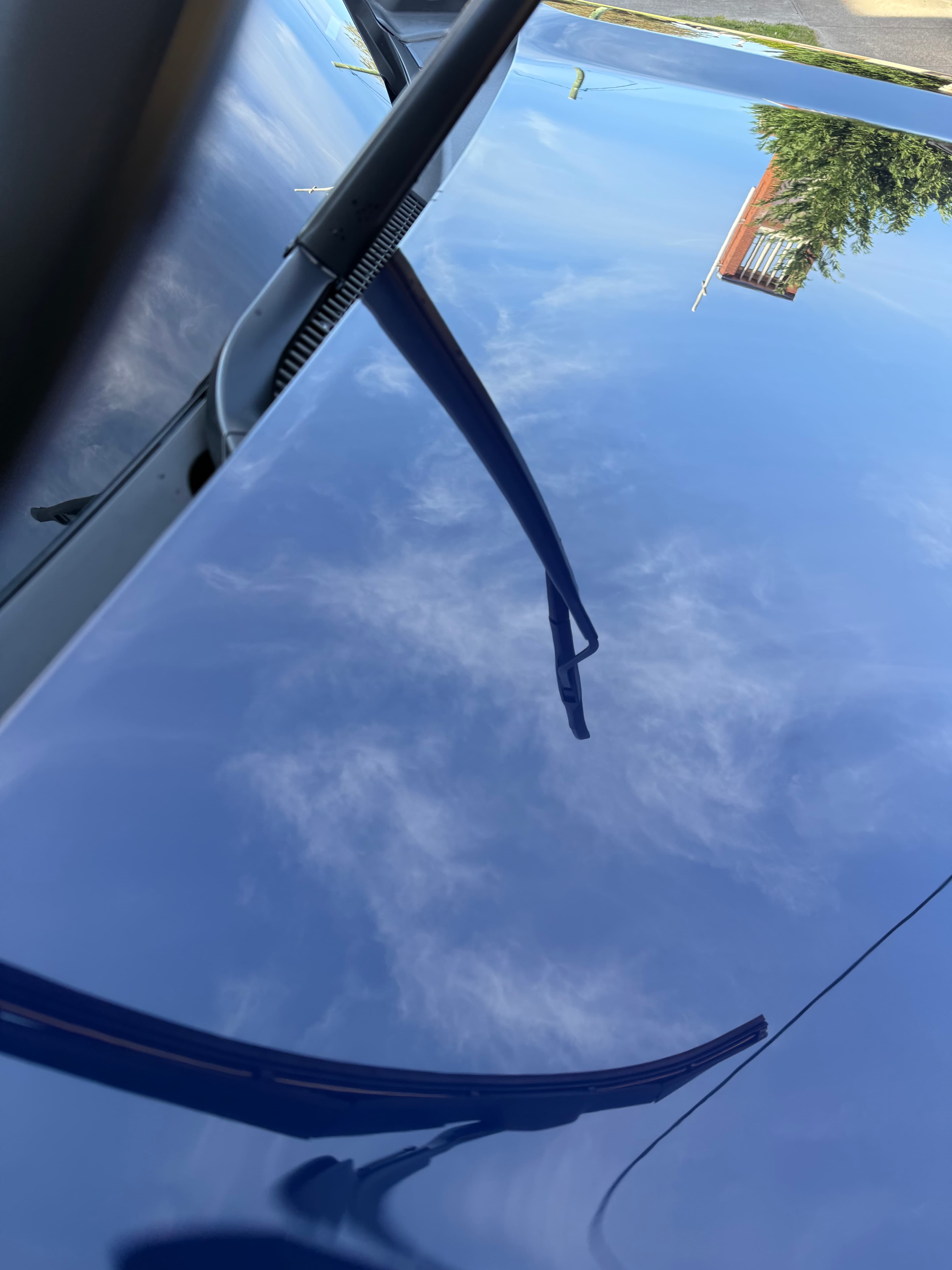 Detailed bonnet reflecting a clear sky